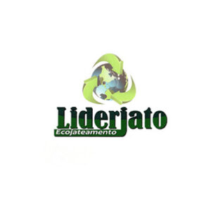 Lider jato logotipo